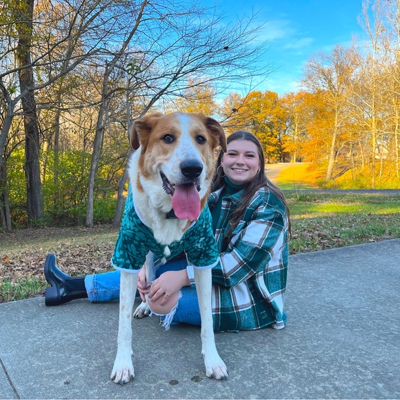 Meet your Posher, Kelsie - Picture 1 of 1